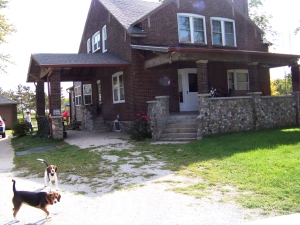 Borden home with welcoming beagles Borden home with welcoming beagles