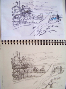 Rae's landscape was drawn upside-down