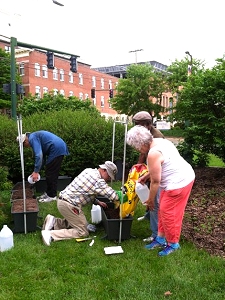Planting a food garden
