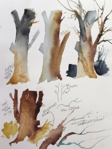 Demonstration of considerations in painting tree trunks and branches, watercolor by Jo Myers-Walker