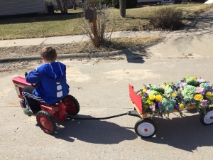 Floral arrangements delivered to Jo's car by wagon and pedal power