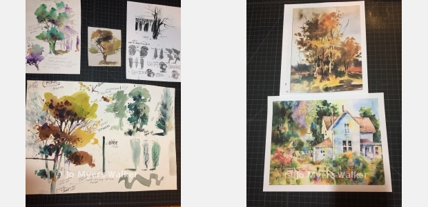 Sketches and paintings by artist Jo Myers-Walker showing trees in watercolor